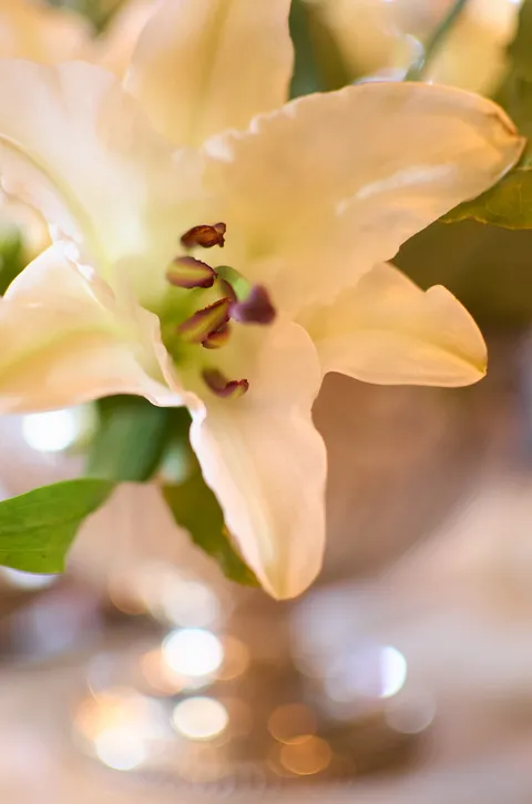 Nature photography