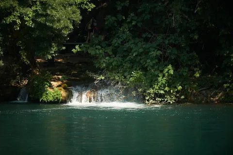 Nature photography
