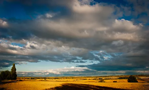 Nature photography