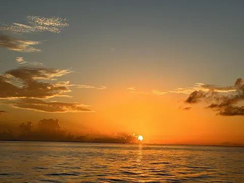 Nature photography