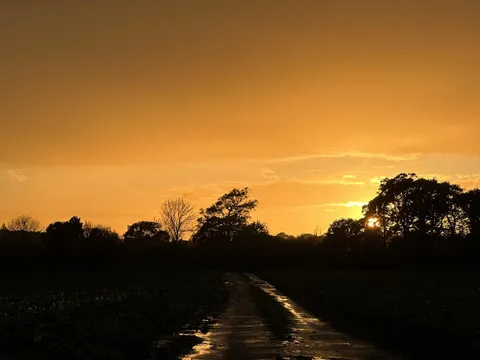 Nature photography