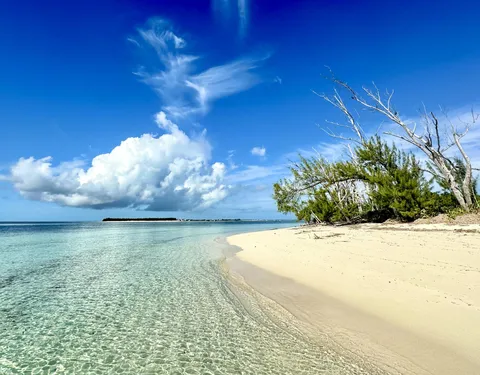 Nature photography